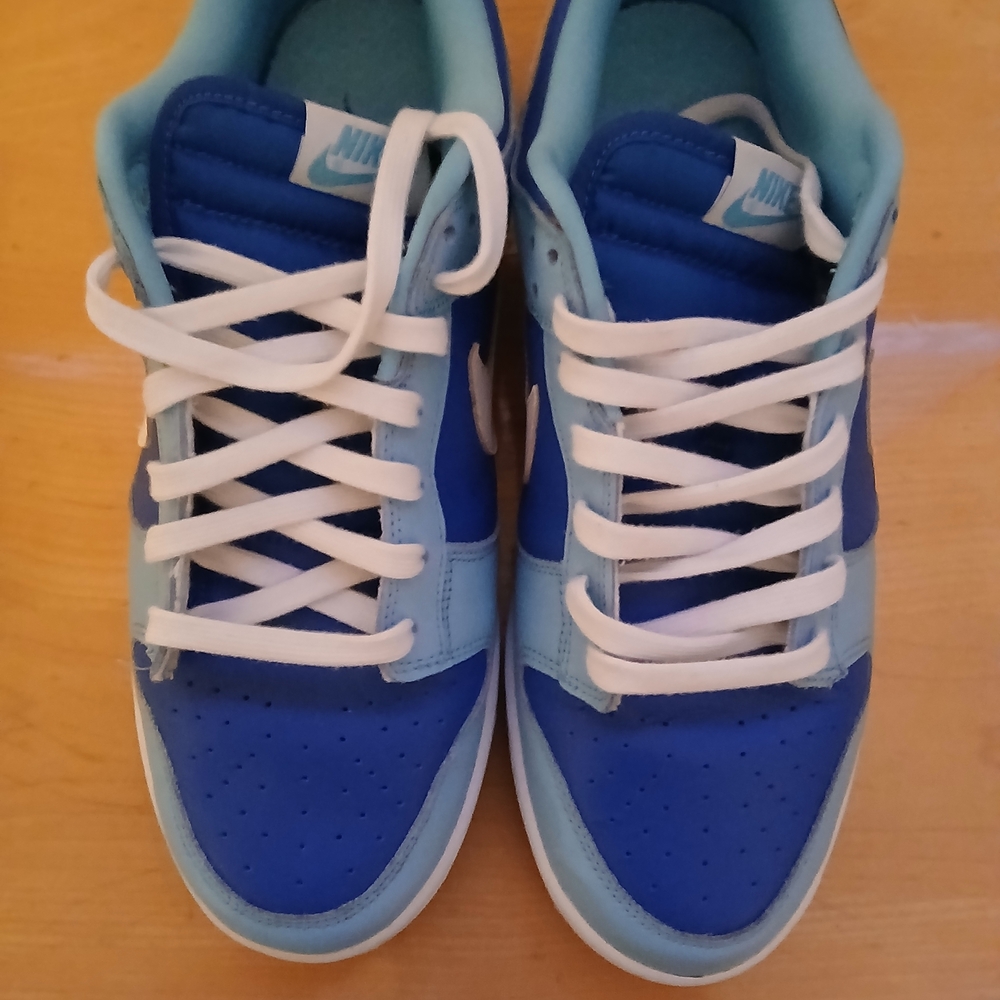 Men's Nike Dunk Low Retro Argon Size 10